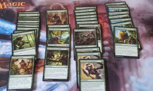 G - Complementos pool aportados por Evo